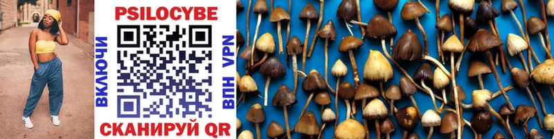 Псилоцибиновые грибы GOLDEN TEACHER  Купить  Любим 